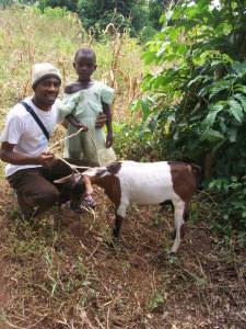 11016732_871705216224831_1794783874_n